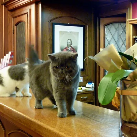 Citta Dei Mille 호텔 베르가모